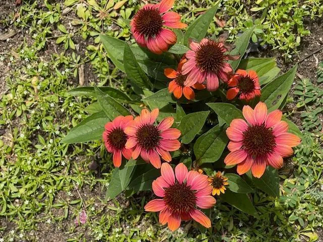 $675,000 | 13869 Hardy Lake Road Southwest, Pillager, MN 56473