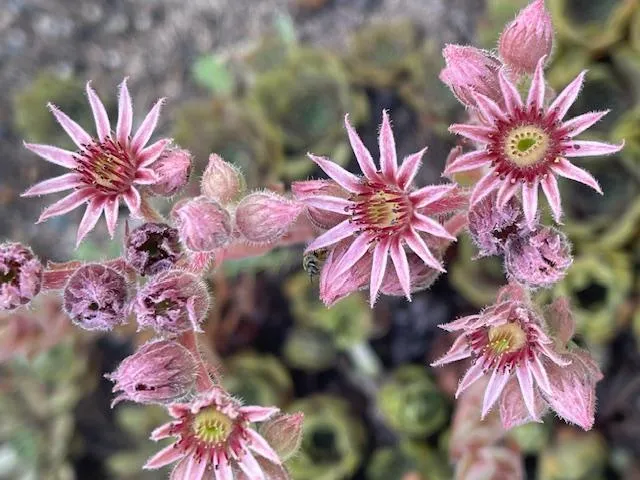 $675,000 | 13869 Hardy Lake Road Southwest, Pillager, MN 56473