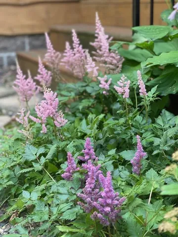 $675,000 | 13869 Hardy Lake Road Southwest, Pillager, MN 56473