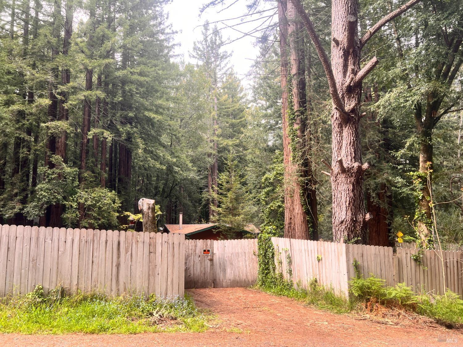 2300 Joy Road Occidental, CA 95465 - Photo 3 of 16 Gallery Image 3