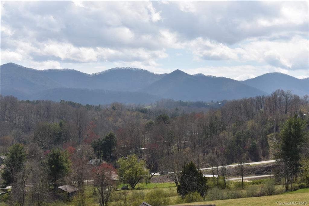 23 Hominy Baptist Church Road Candler, NC 28715 - Photo 3 of 34