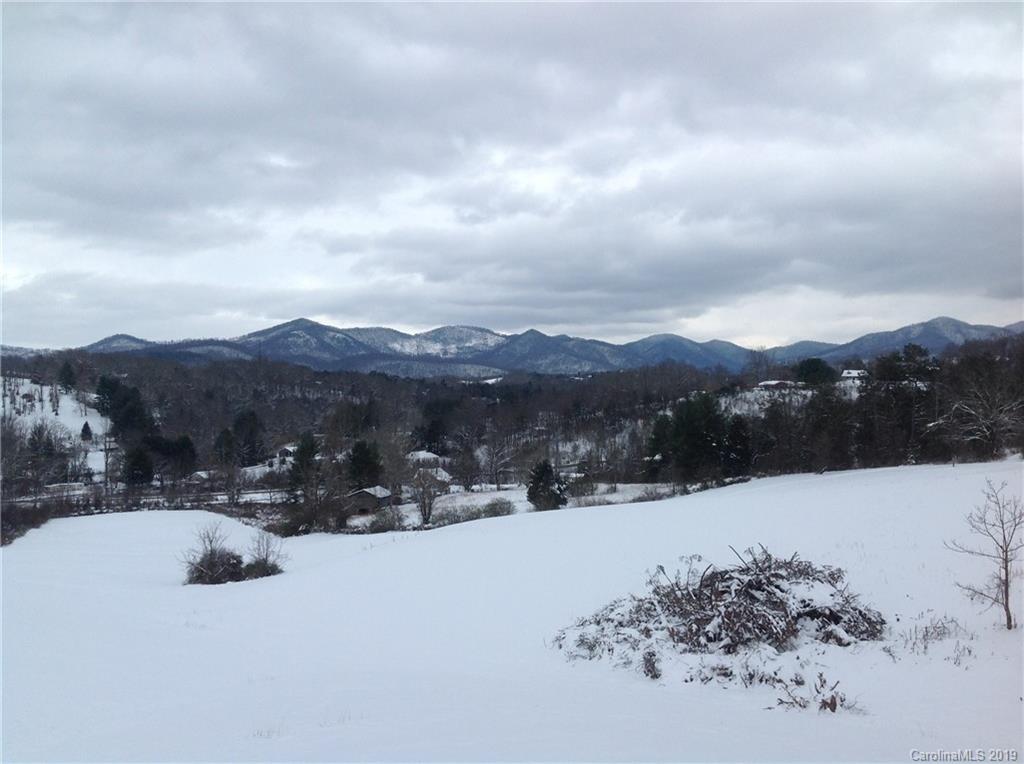 23 Hominy Baptist Church Road Candler, NC 28715 - Photo 9 of 34