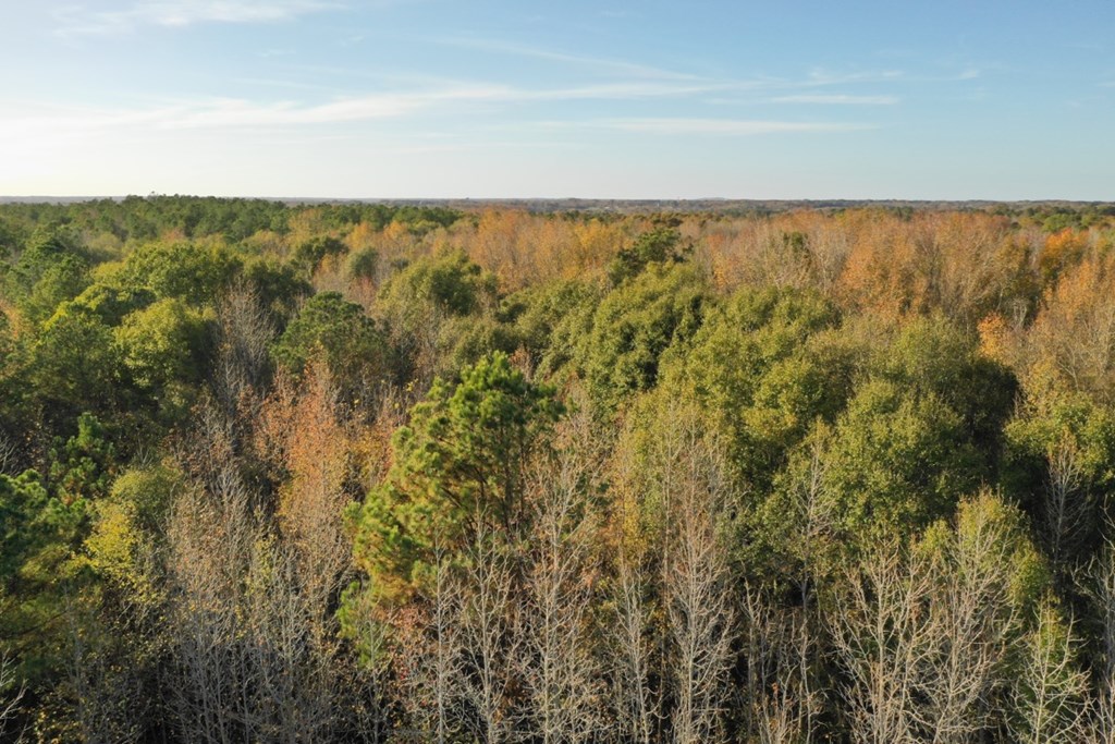 0 Templeton Road Laurens, SC 29360 - Photo 13 of 13 Gallery Image 13