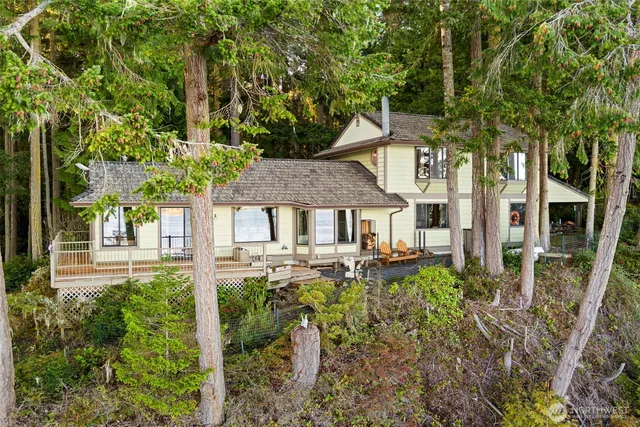 a close up of a plant in a garden