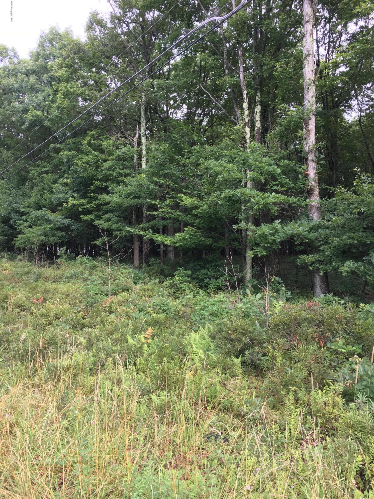 Lot 36 Deep Lake Road Long Pond, PA 18334 - Photo 1 of 3 a backyard of a house with lots of green space and plants