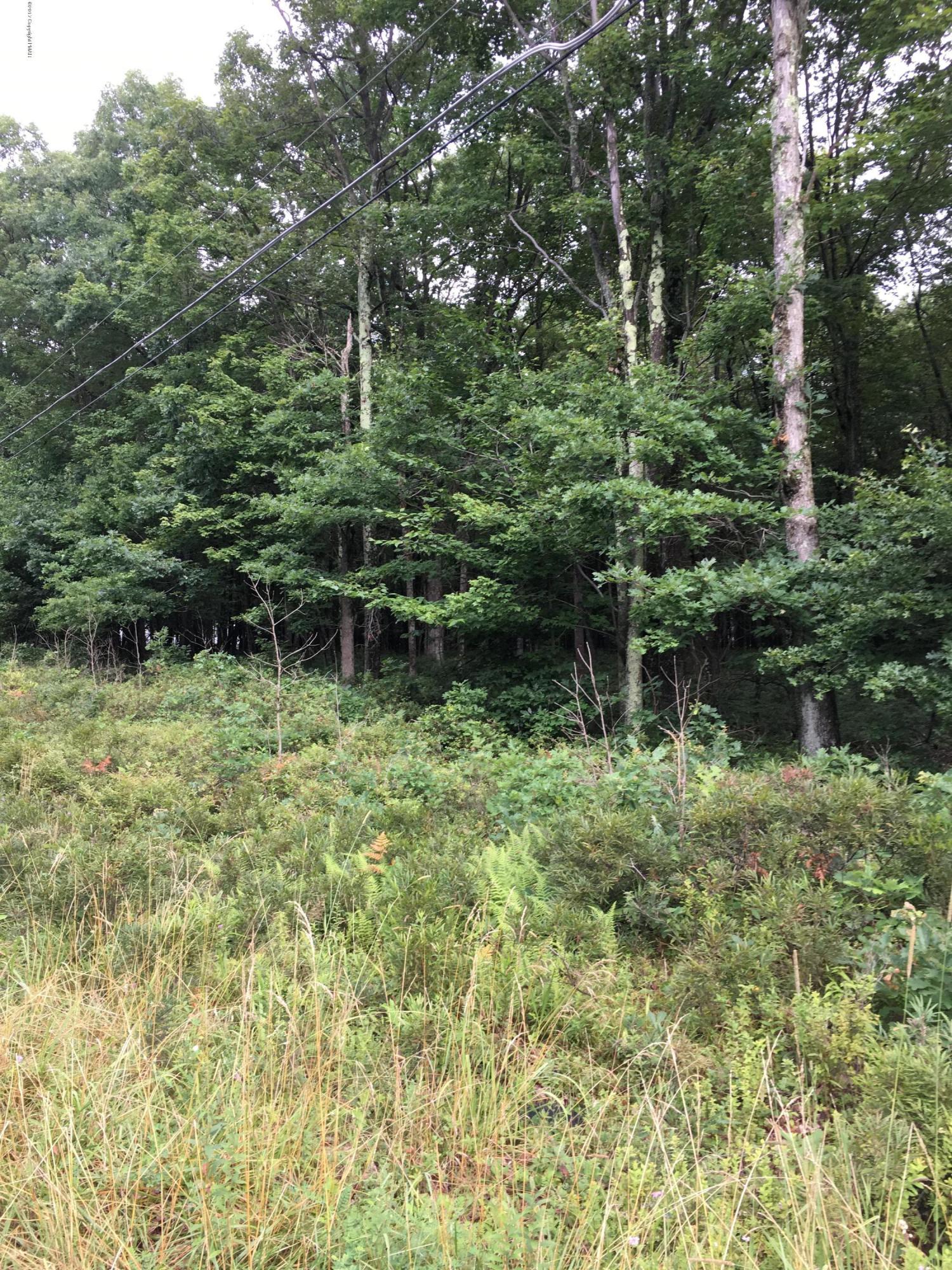 Lot 36 Deep Lake Road Long Pond, PA 18334 - Photo 3 of 3 a backyard of a house with lots of green space and lake view