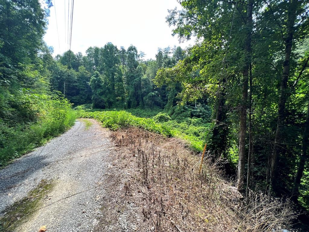 0 South King Branch Road Sevierville, TN 37876 - Photo 4 of 7