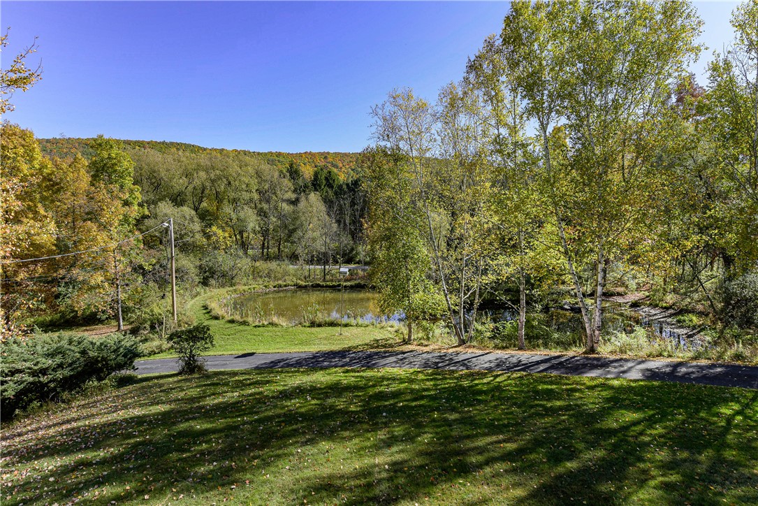 6088 Middlebrook Road South Bristol, NY 14512 - Photo 47 of 50 Driveway and Pond