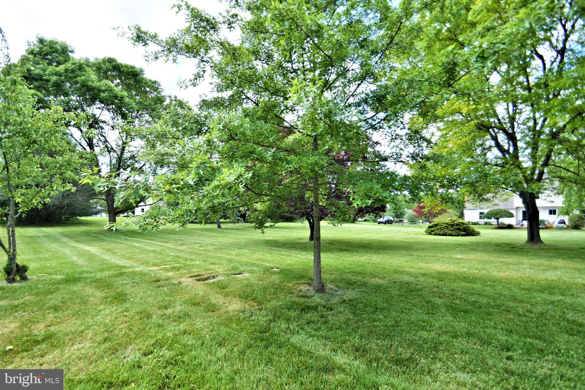 253 Freed Road Harleysville, PA 19438 - Photo 61 of 61 Rear Yard
