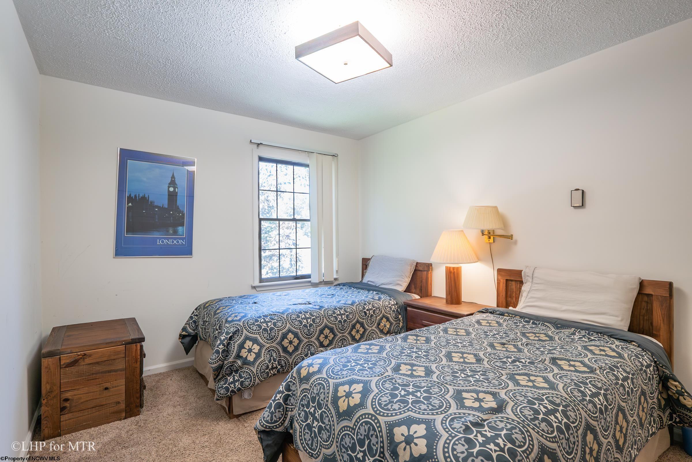 164 Talheim Road Davis, WV 26260 - Photo 25 of 44 Gallery Image 25
