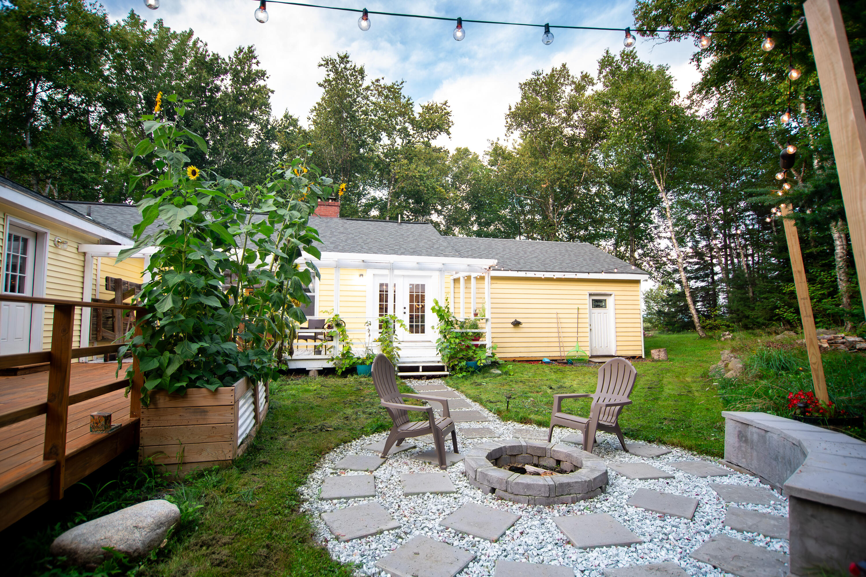 259 Flye Point Road Brooklin, ME 04616 - Photo 3 of 65 259 Flye Point -38