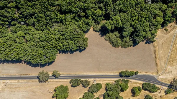 an aerial view of a house with a yard and trees