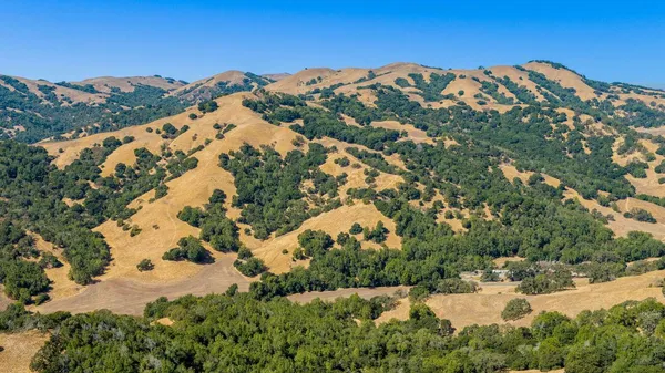 a view of a backyard of a house