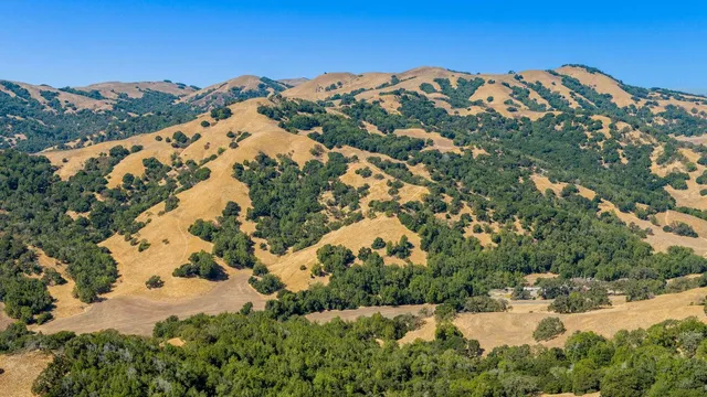 a view of a backyard of a house