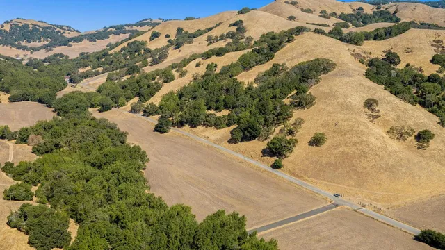 a view of a yard with plants