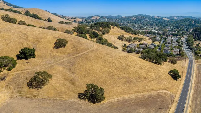 a view of a dry yard