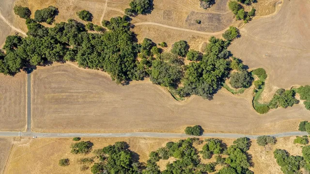 a view of a vase of flowers sitting on a table