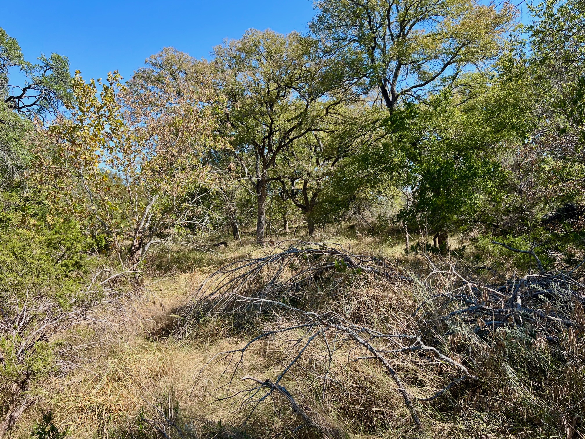 Tbd Narrows Road Blanco, TX 78606 - Photo 5 of 18 river lot