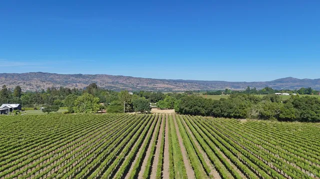 $3,600,000 | 1169 Darms Lane, Napa, CA 94558