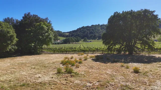 $3,600,000 | 1169 Darms Lane, Napa, CA 94558