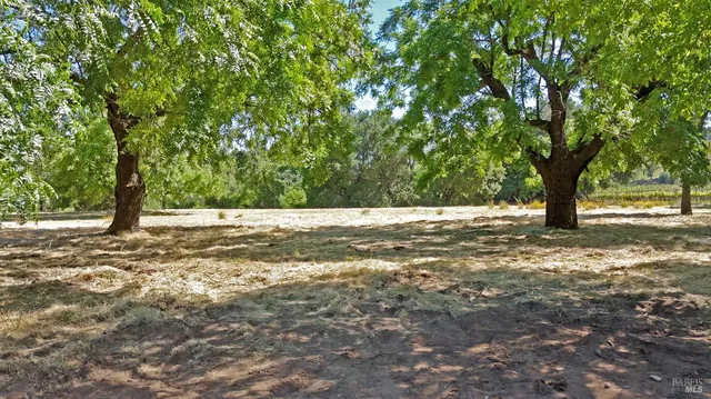 $3,600,000 | 1169 Darms Lane, Napa, CA 94558