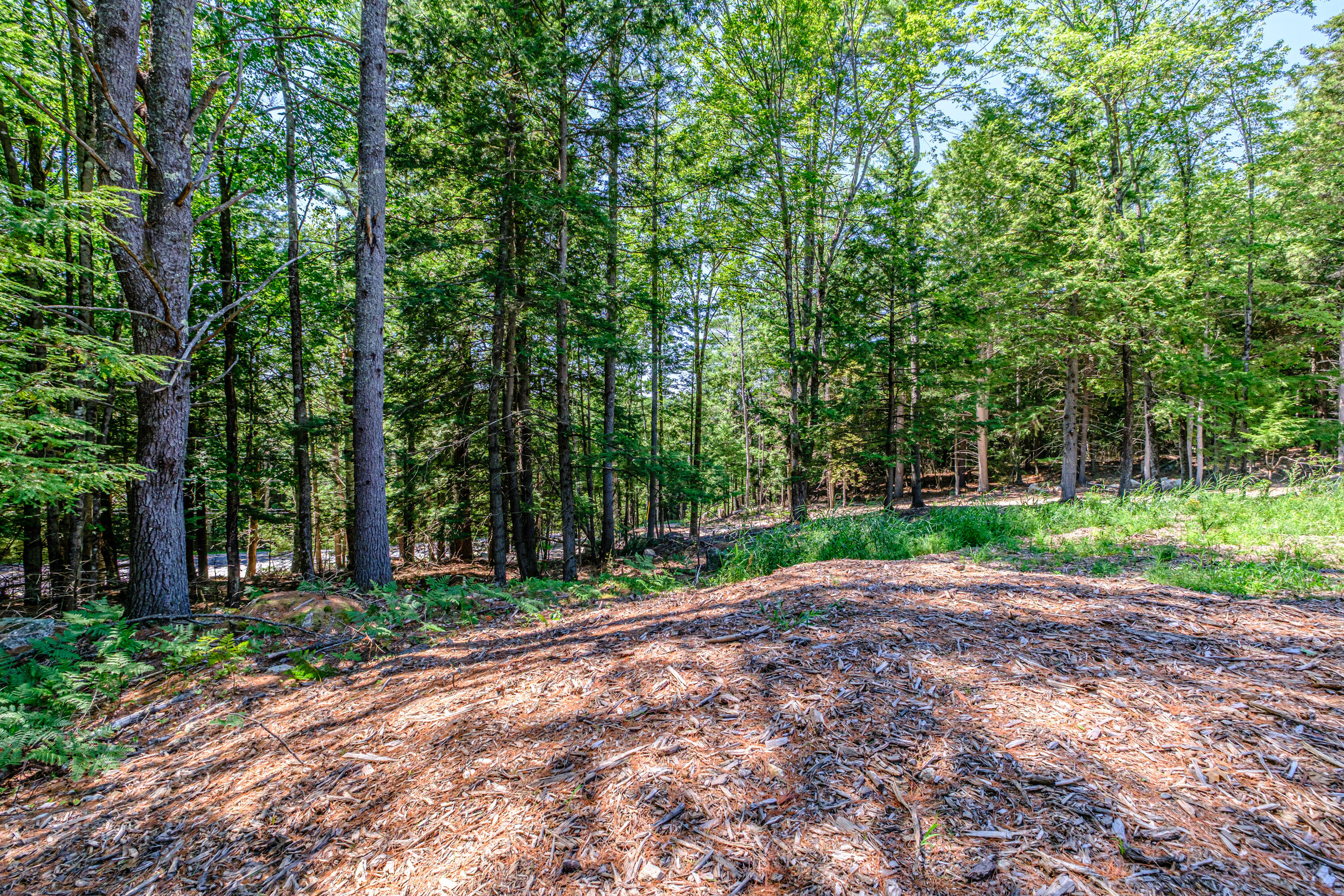830 Paris Road Hebron, ME 04238 - Photo 49 of 51 20260806gp-62056