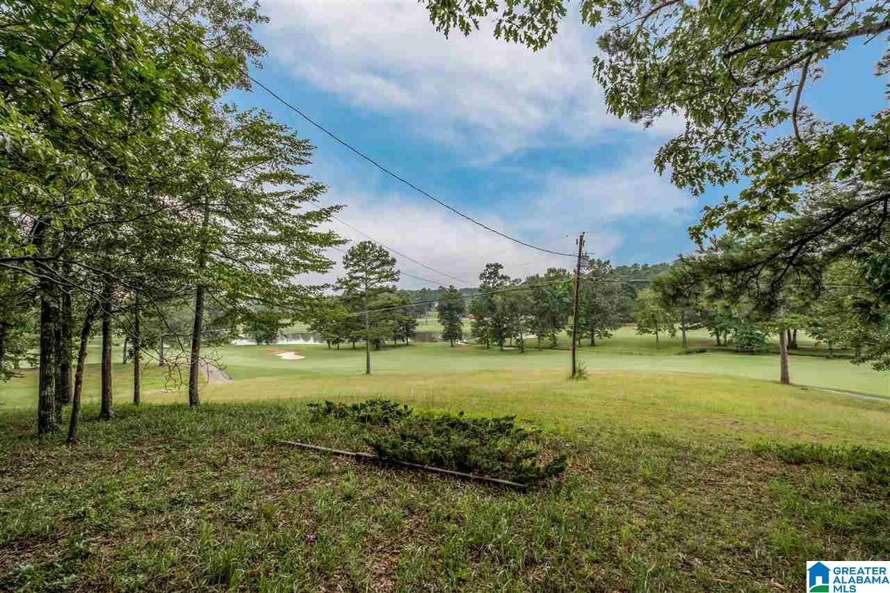 3 Country Club Drive Calera, AL 35040 - Photo 26 of 29