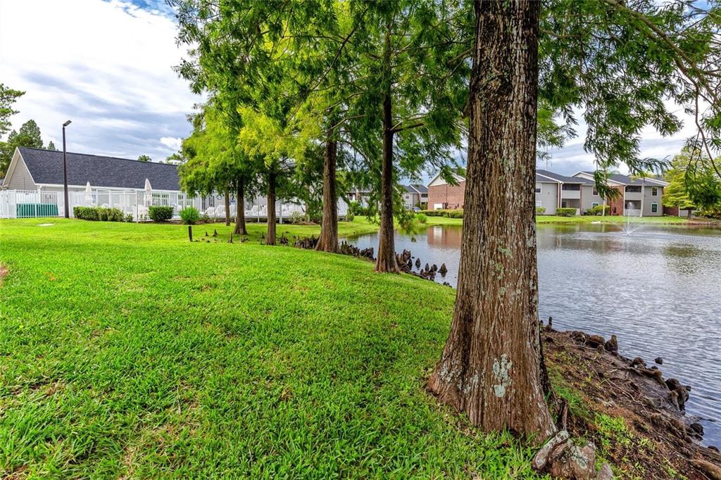 1400 Gandy Boulevard North, Unit 412 St. Petersburg, FL 33702 - Photo 42 of 44 a view of a yard with a tree