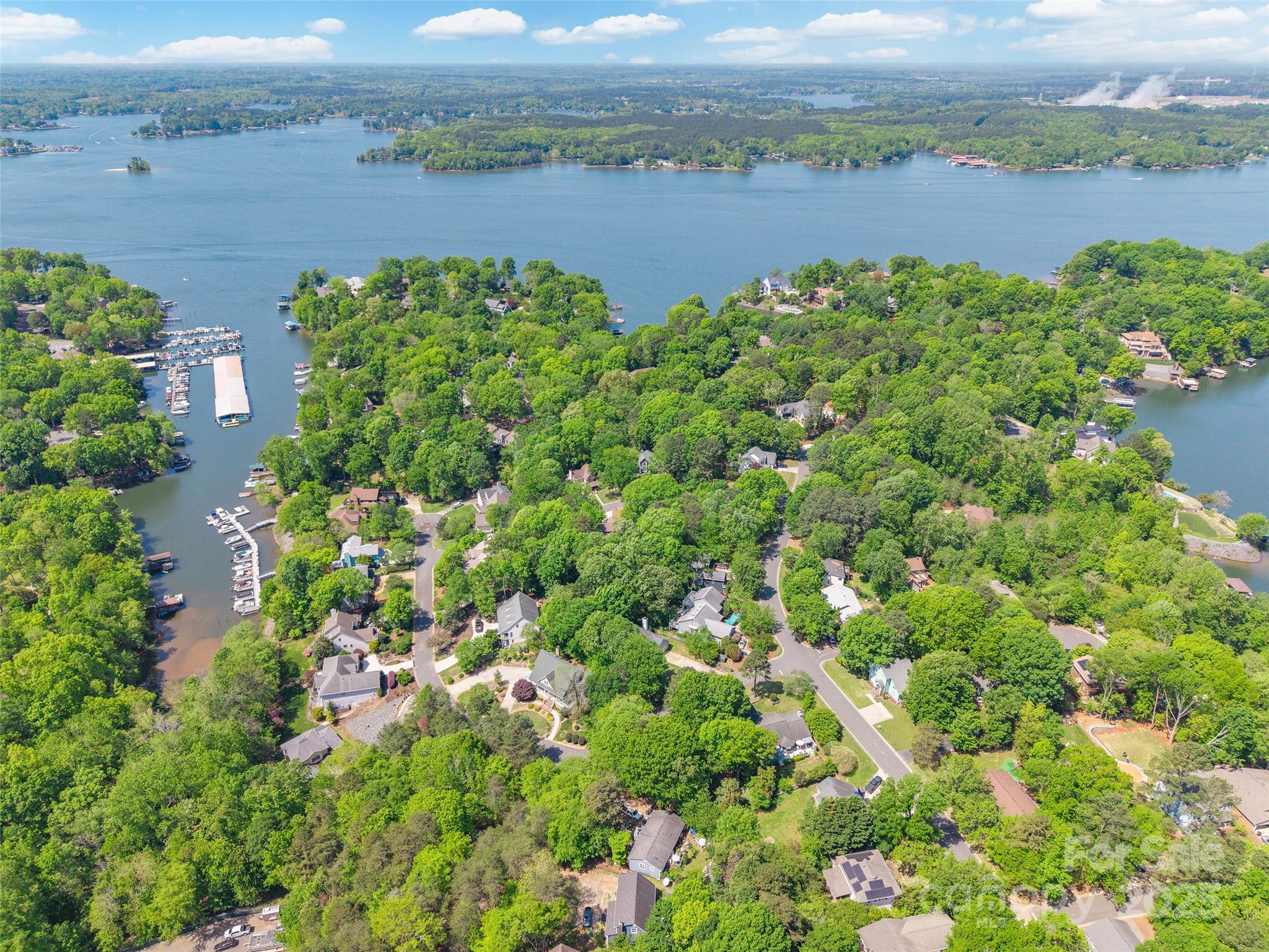 9012 Windjammer Drive Tega Cay, SC 29708 - Photo 6 of 13