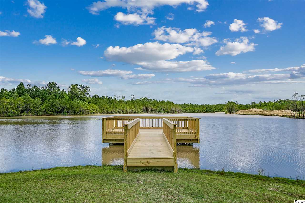 412 Spring View Little River, SC 29566 - Photo 35 of 40 Gallery Image 35