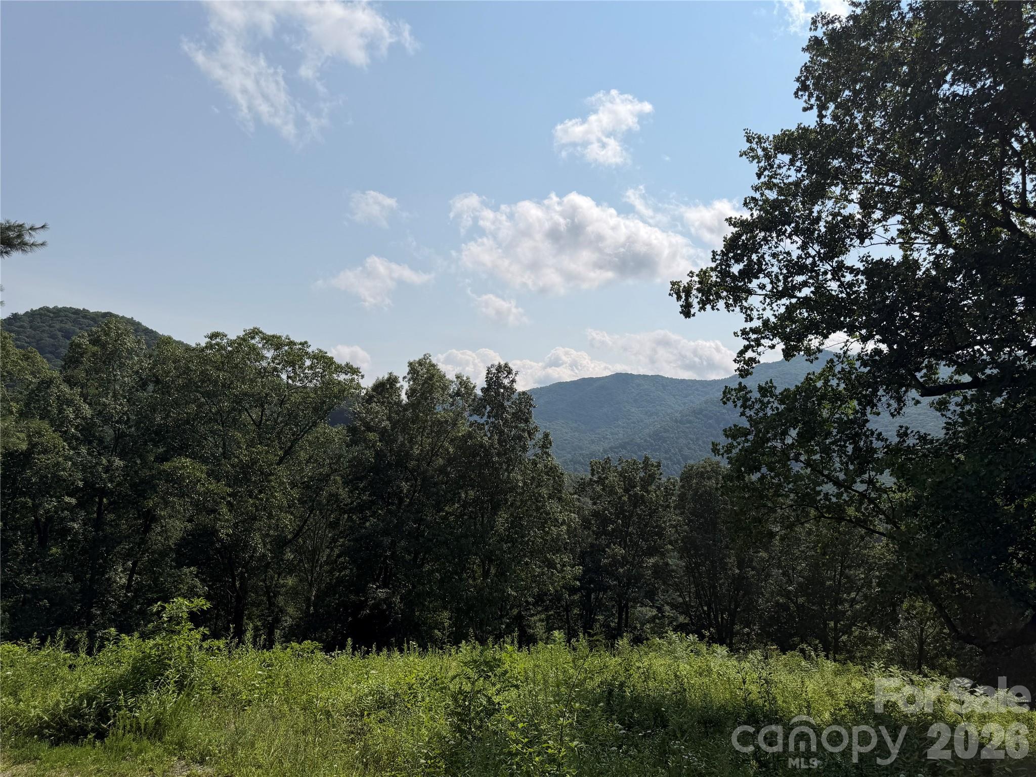 0 Sorrells Creek Road Canton, NC 28716 - Photo 11 of 12 Gallery Image 11