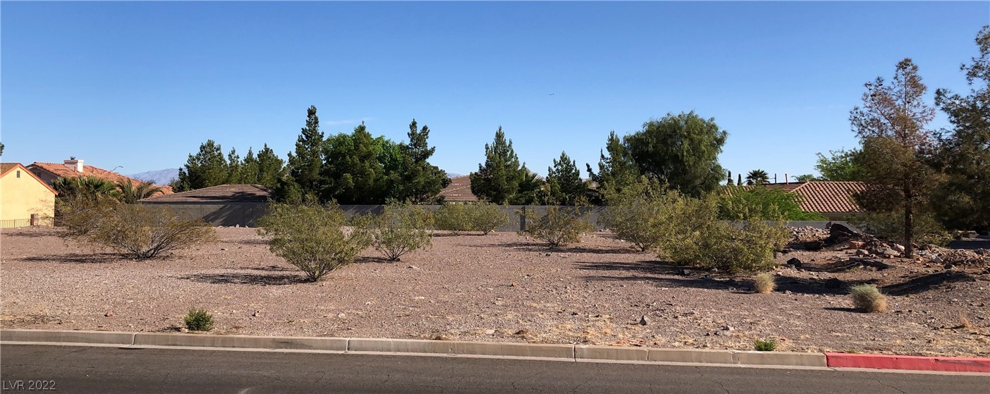 Longacres Drive Henderson, NV 89015 - Photo 4 of 4