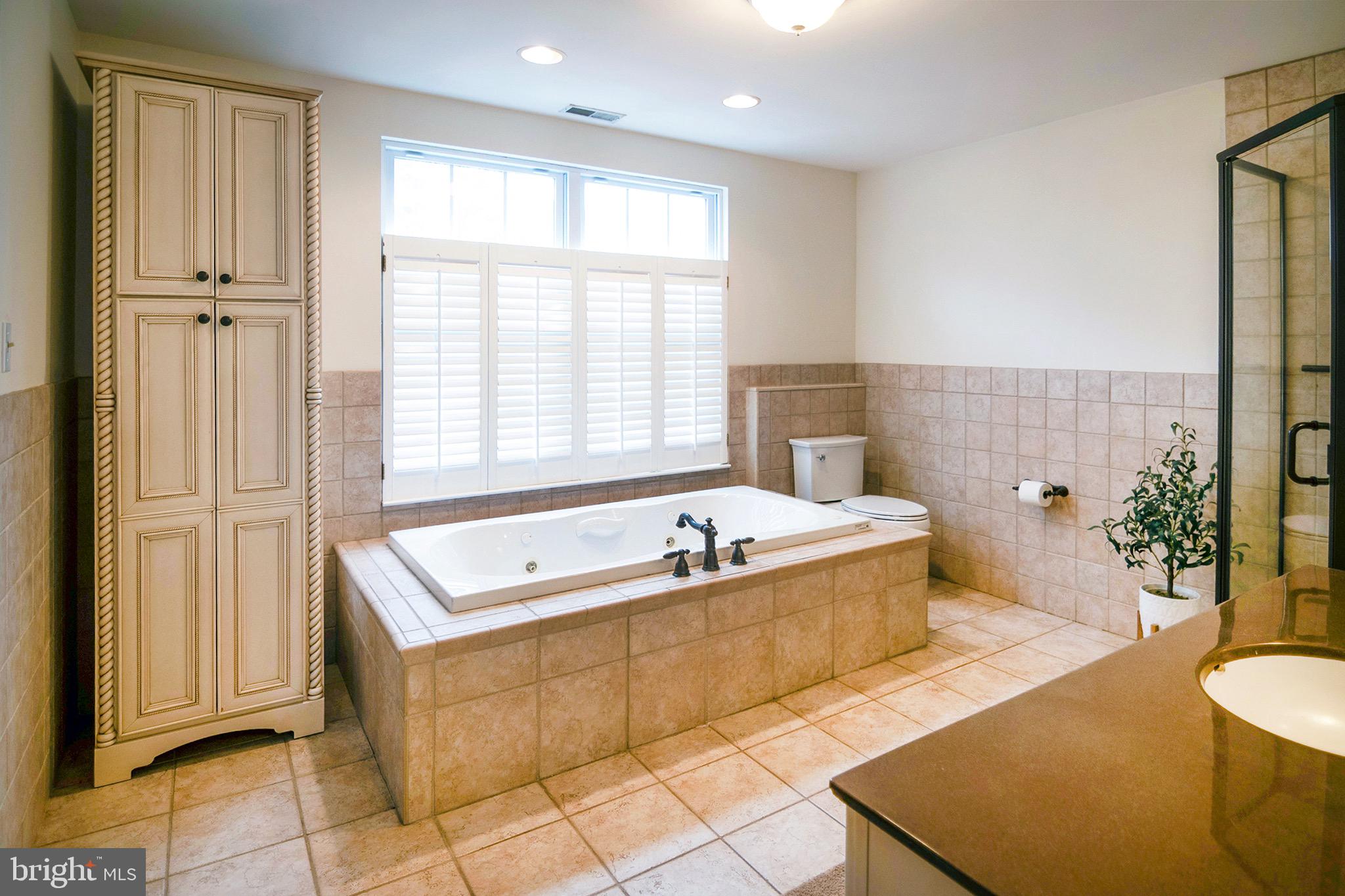 4643 Jackson Road Williamstown, NJ 08094 - Photo 54 of 74 a spacious bathroom with a tub a potted plant and a sink
