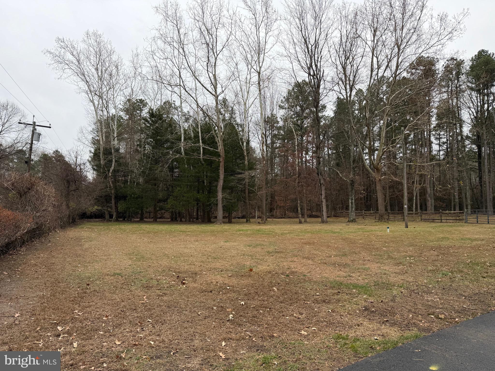 4643 Jackson Road Williamstown, NJ 08094 - Photo 64 of 67 a view of outdoor space with trees