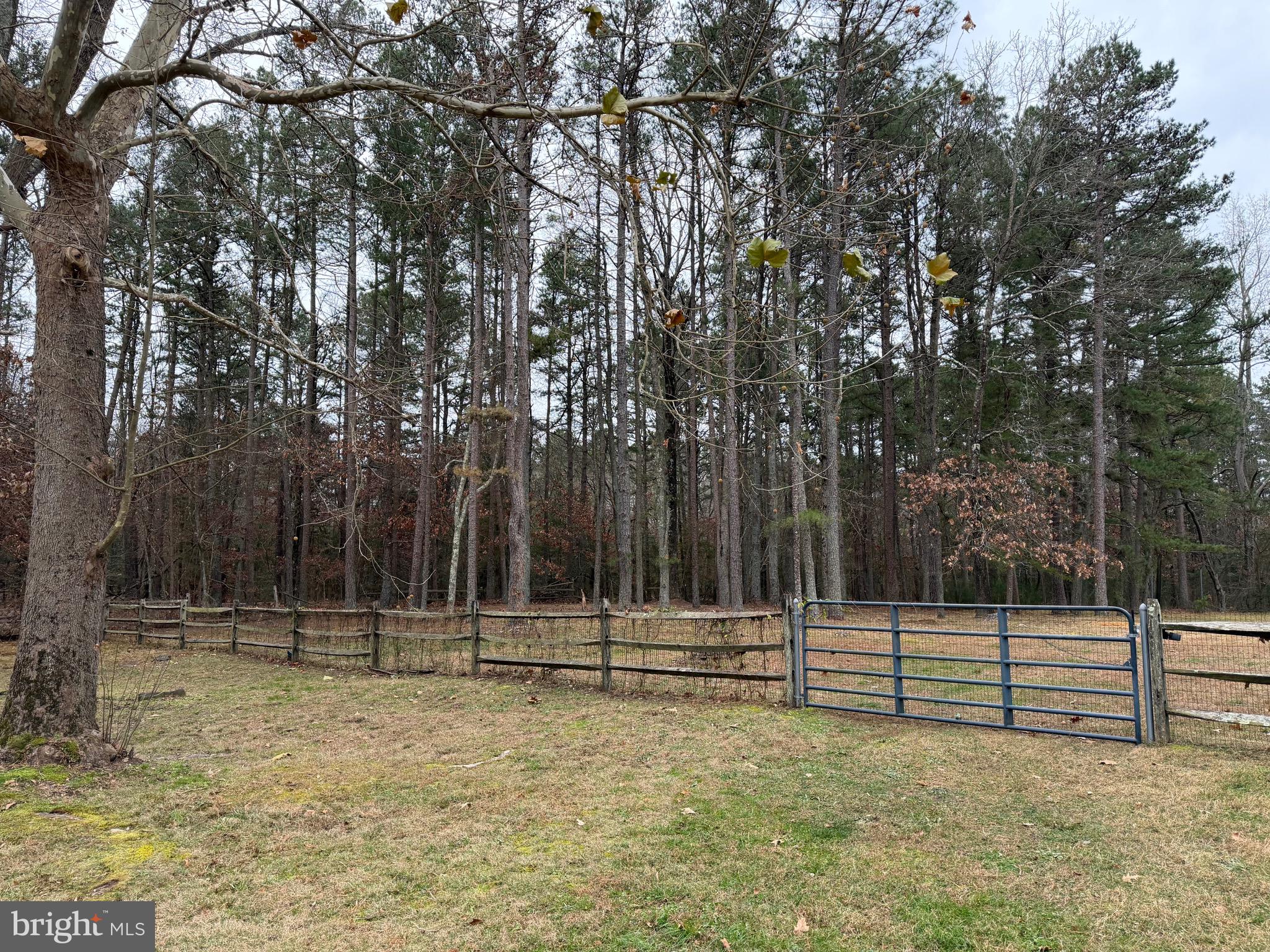 4643 Jackson Road Williamstown, NJ 08094 - Photo 65 of 67 a backyard of a house with lots of green space
