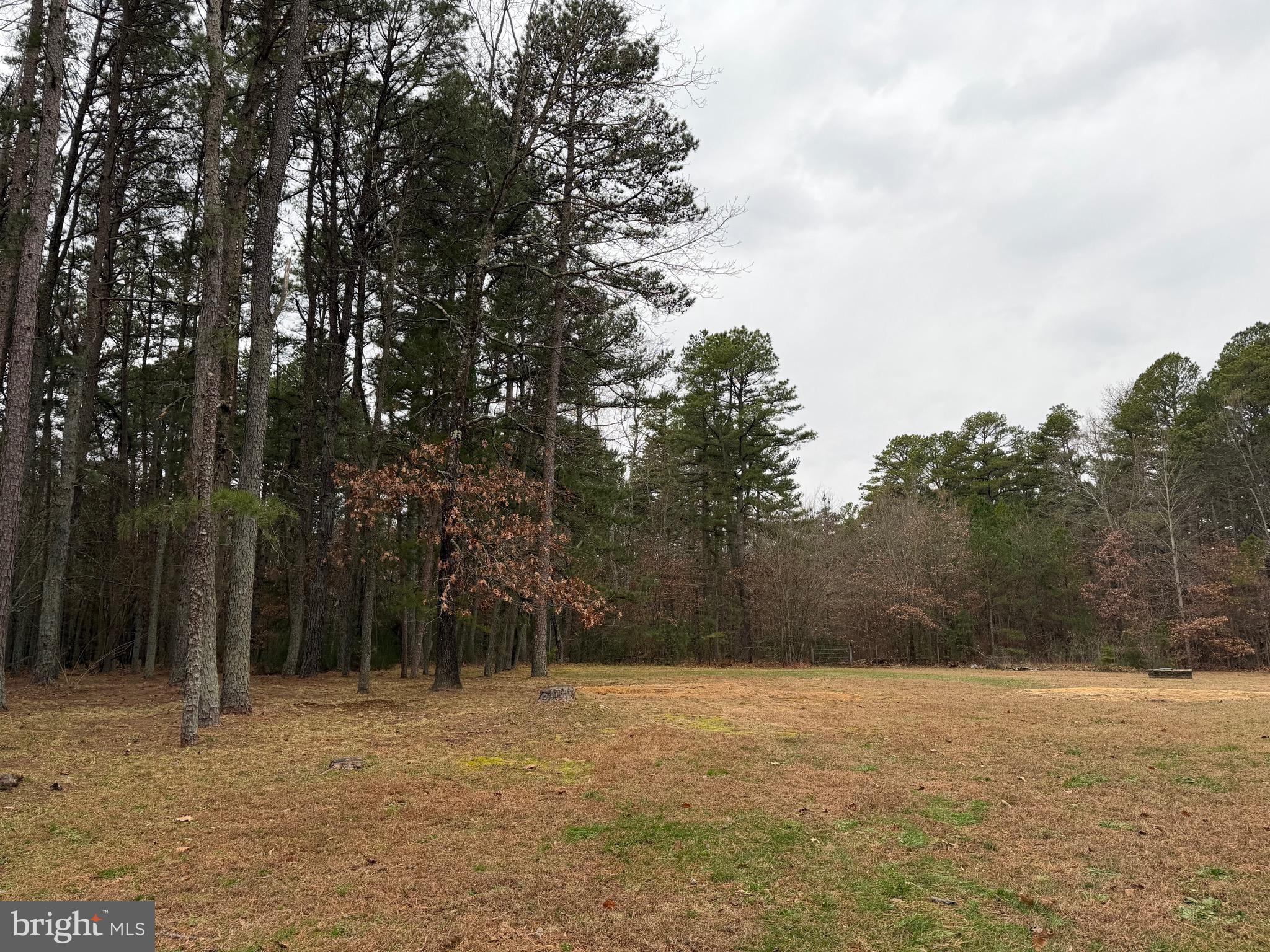 4643 Jackson Road Williamstown, NJ 08094 - Photo 67 of 67 a backyard of a house with large trees