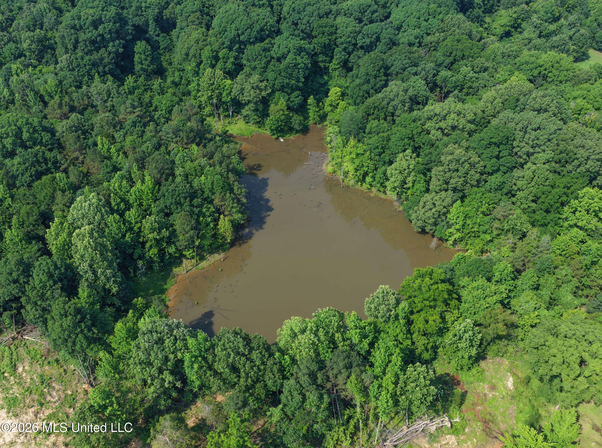 2169 Slocum Road Hernando, MS 38632 - Photo 19 of 94 5slcm10