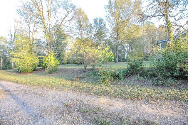 2356 Martintown Road Clarks Hill, SC 29821 - Photo 42 of 45