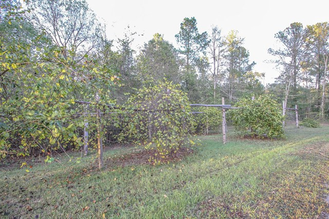 2356 Martintown Road Clarks Hill, SC 29821 - Photo 44 of 45