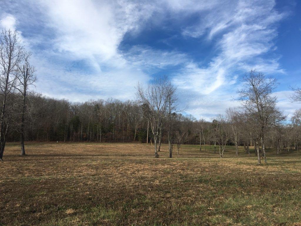 Lot 5 Stump Hollow Road Spring City, TN 37381 - Photo 14 of 19 568584170
