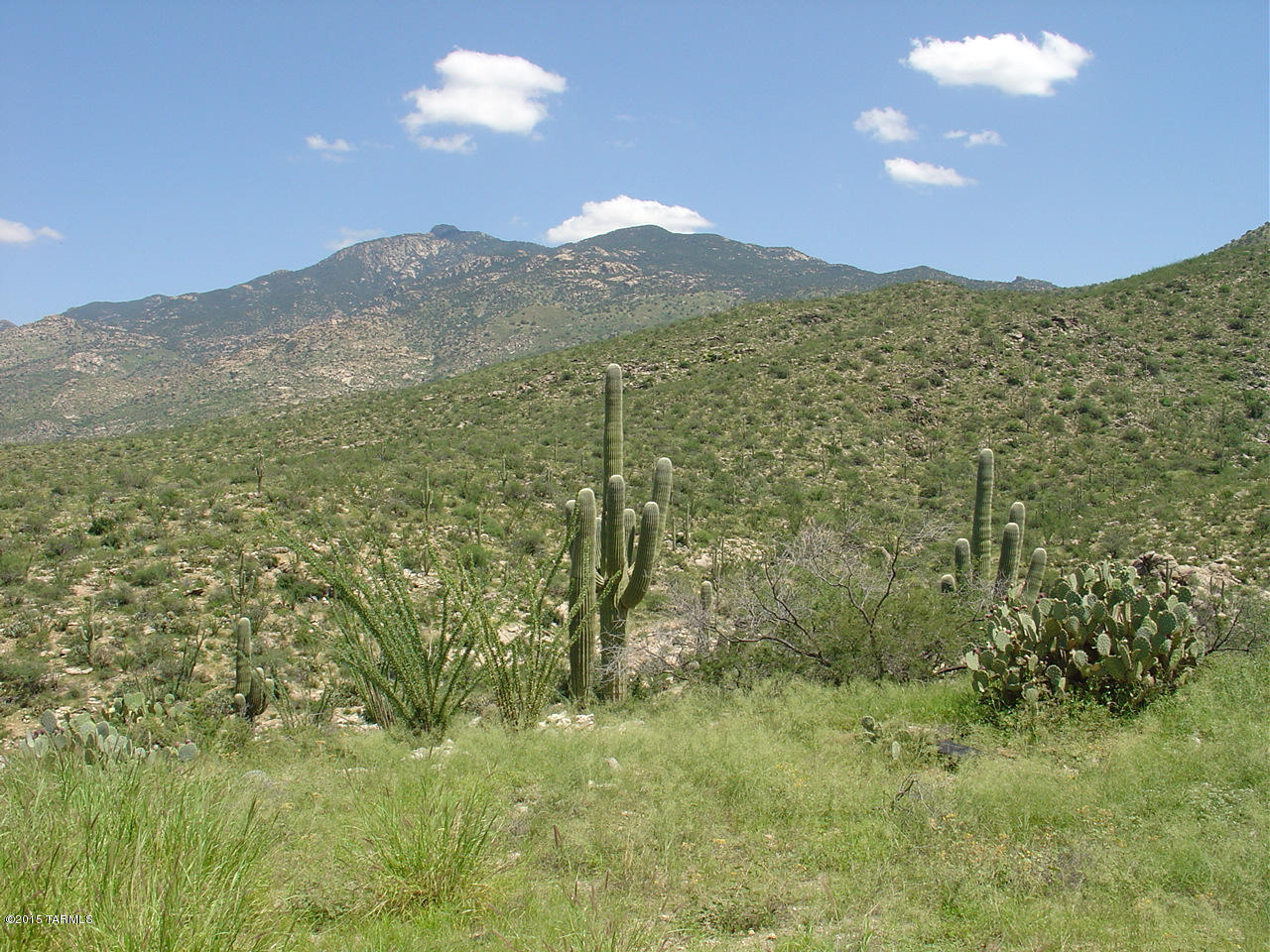 7301 South Red Hill Road, Unit 84 Vail, AZ 85641 - Photo 1 of 22 1