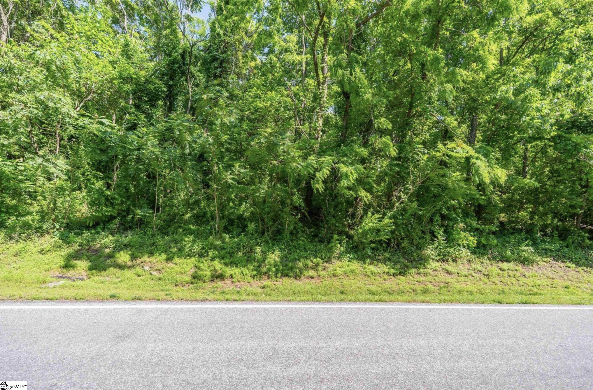 33-34 Raptor Way Landrum, SC 29356 - Photo 1 of 17