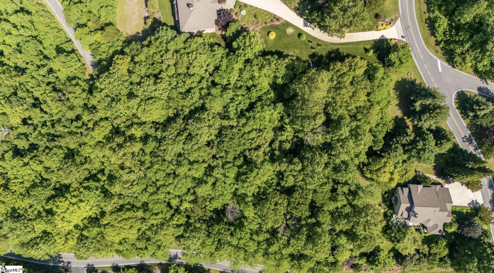 33-34 Raptor Way Landrum, SC 29356 - Photo 11 of 17