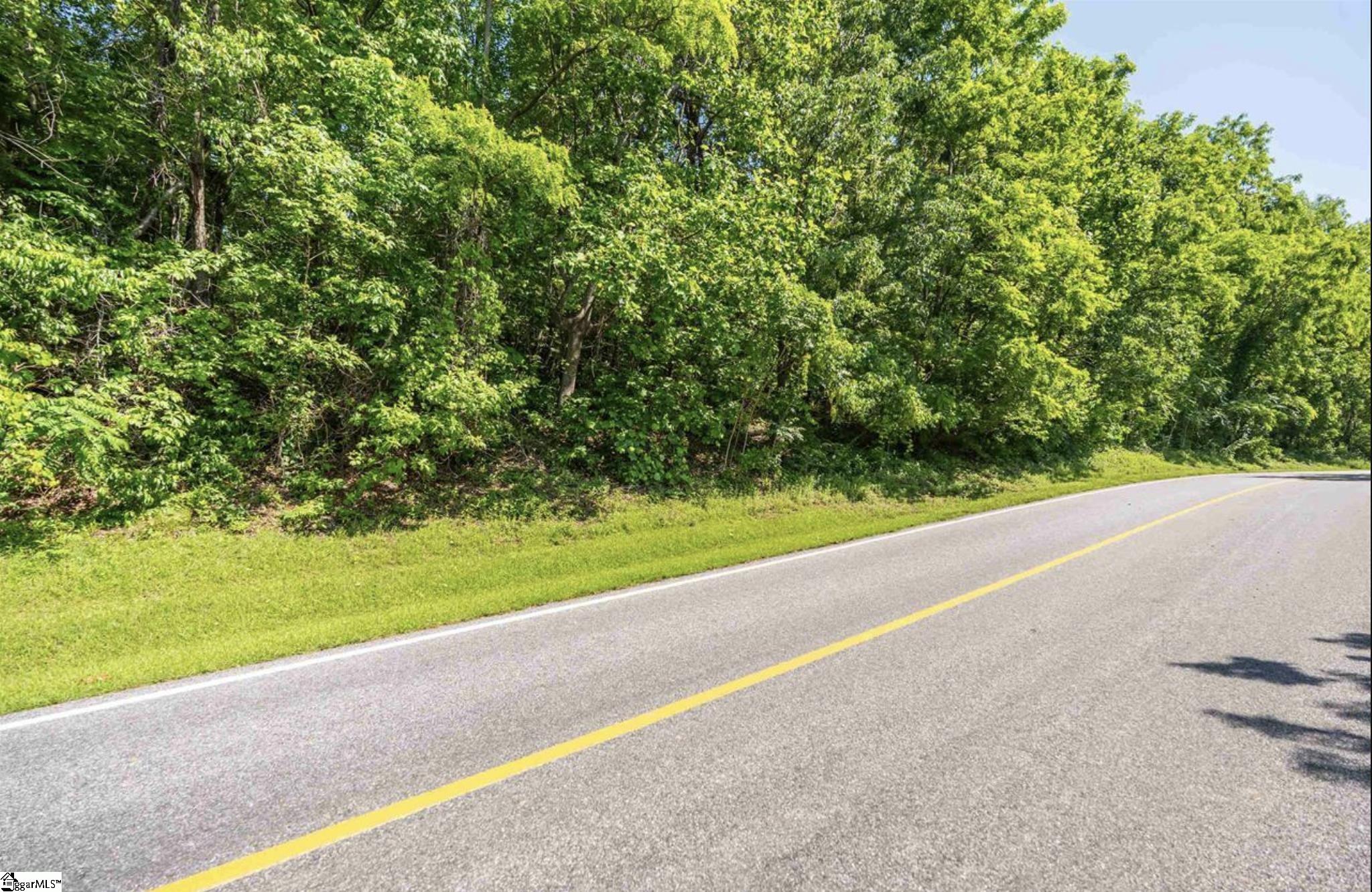 33-34 Raptor Way Landrum, SC 29356 - Photo 14 of 17