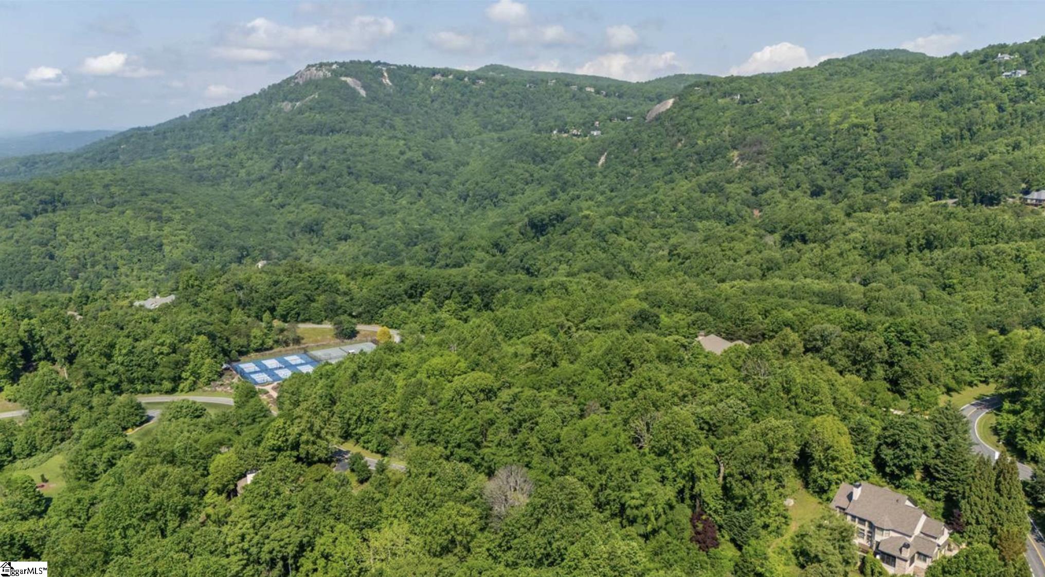 33-34 Raptor Way Landrum, SC 29356 - Photo 3 of 17