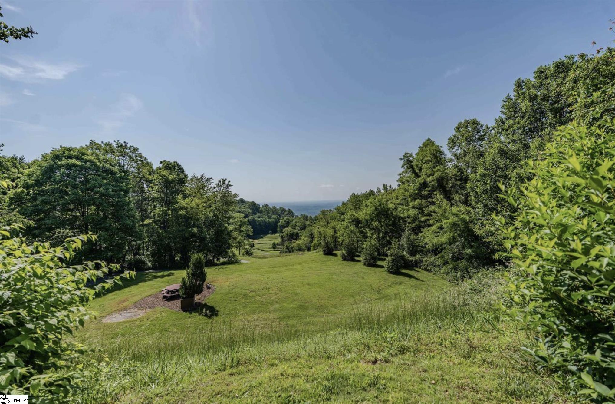 33-34 Raptor Way Landrum, SC 29356 - Photo 6 of 17