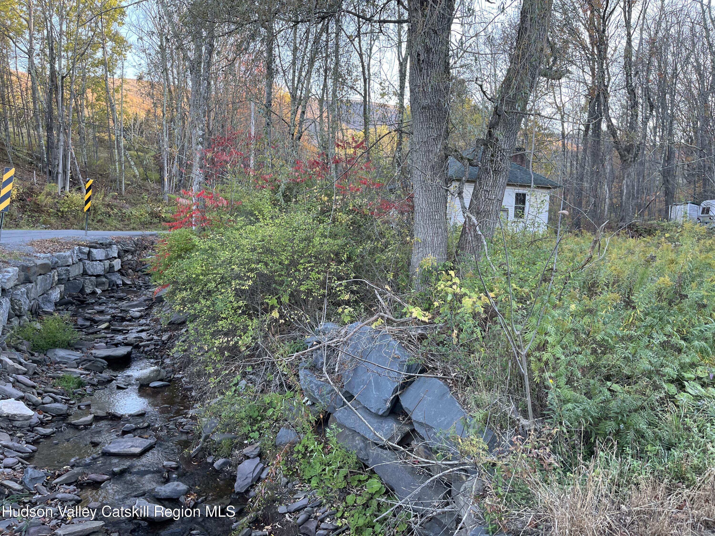 19 Truesdell Road Lexington, NY 12468 - Photo 11 of 22 a backyard of a house with lots of green space