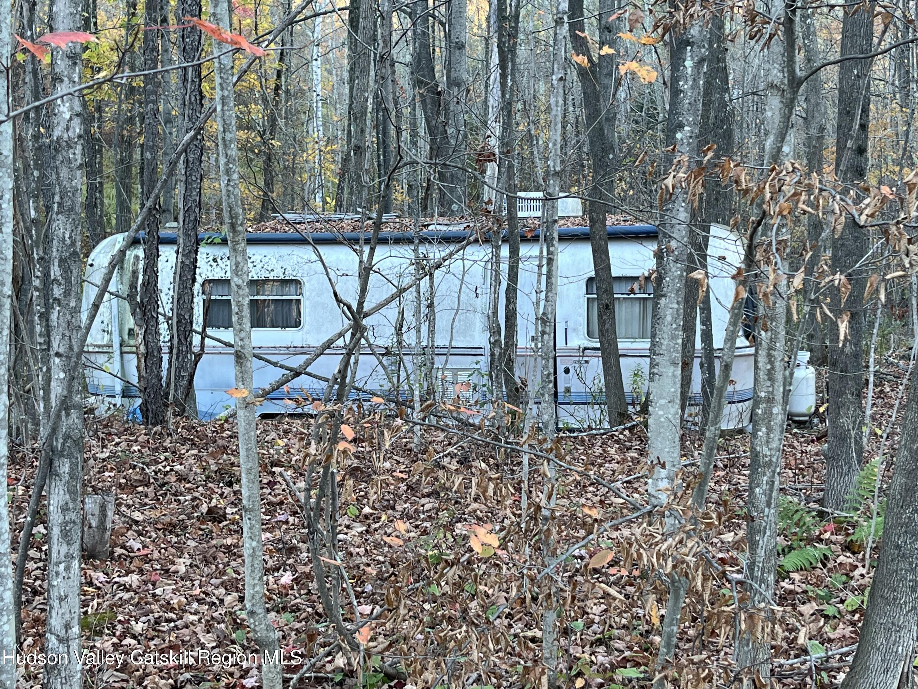19 Truesdell Road Lexington, NY 12468 - Photo 20 of 22 a garden view with a seating space