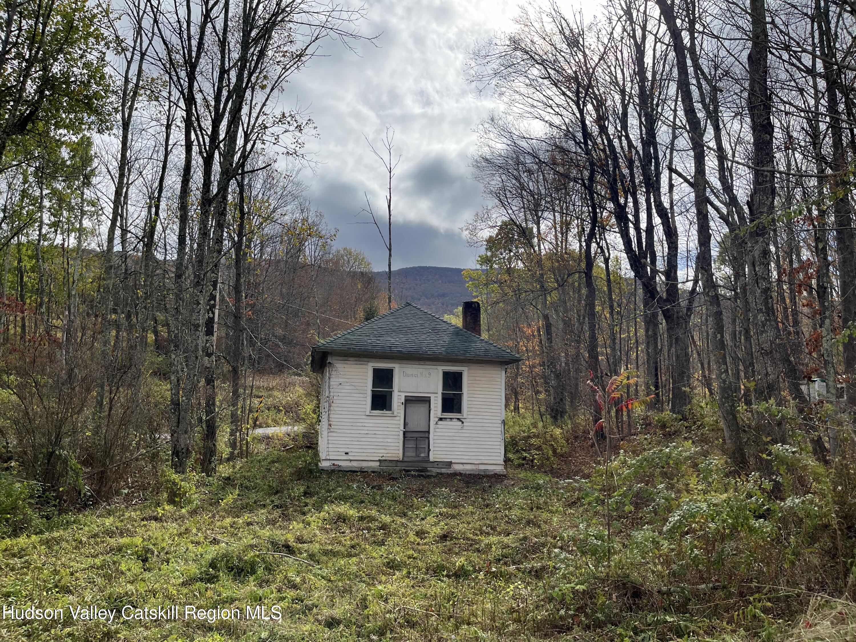 19 Truesdell Road Lexington, NY 12468 - Photo 3 of 22 a backyard of a house with lots of green space