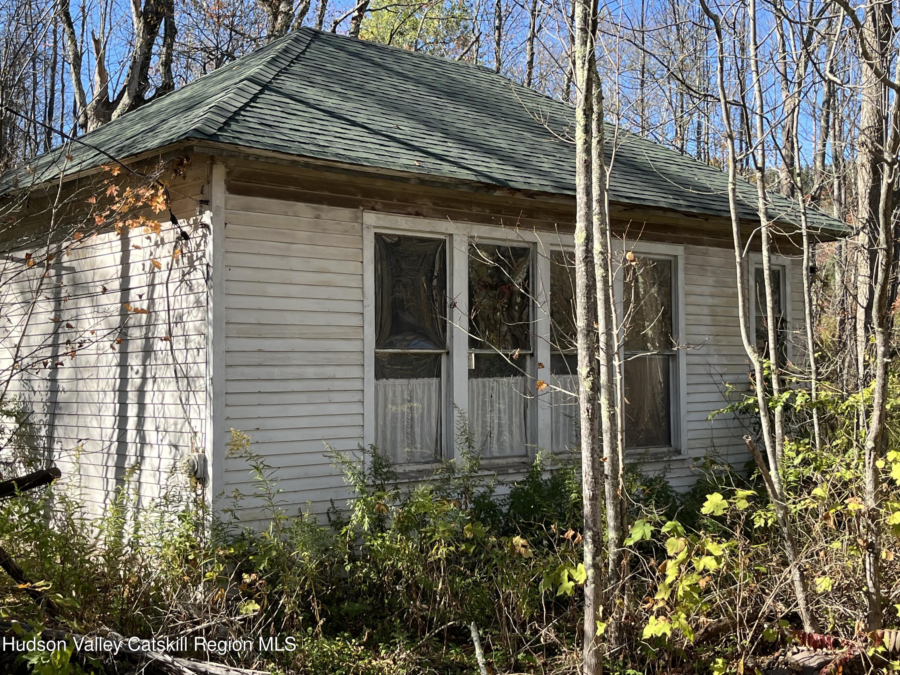 19 Truesdell Road Lexington, NY 12468 - Photo 10 of 22 a view of a house with a yard